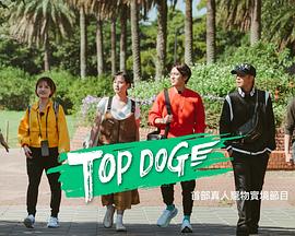 番茄视频《TOP DOG》免费在线观看