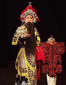 百媚导航《袁崇焕2009》免费在线观看