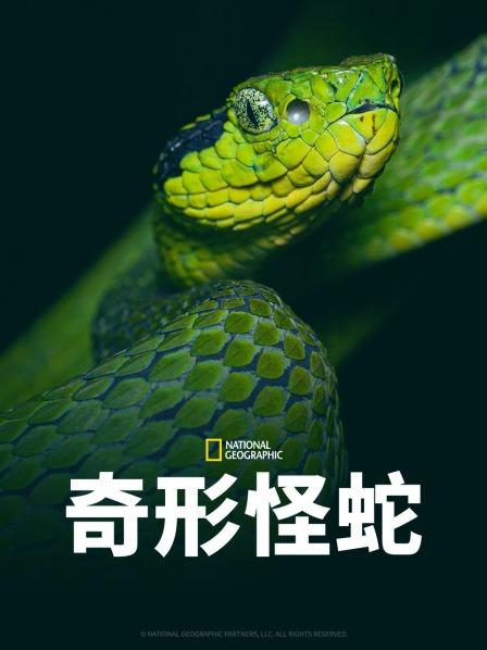 百媚导航《奇形怪蛇》免费在线观看